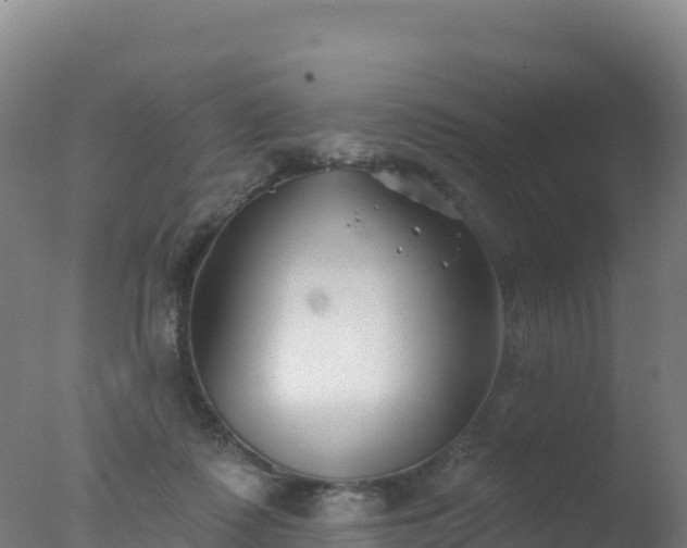 X0000077350315200610271835