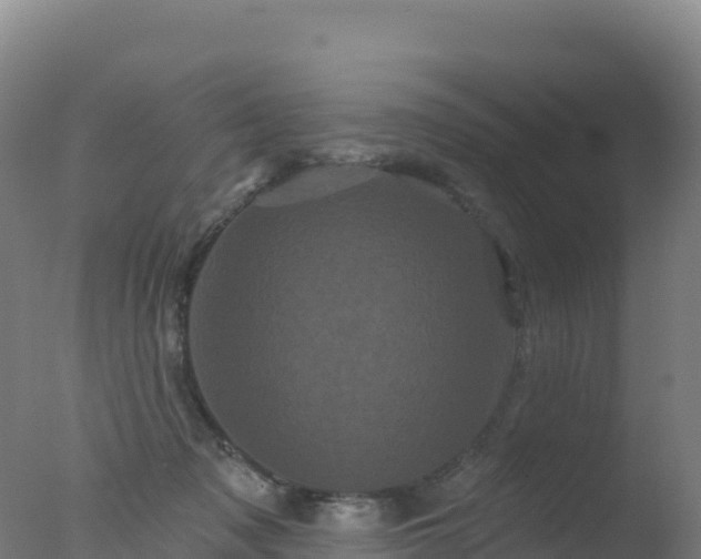 X0000077350317200610271835