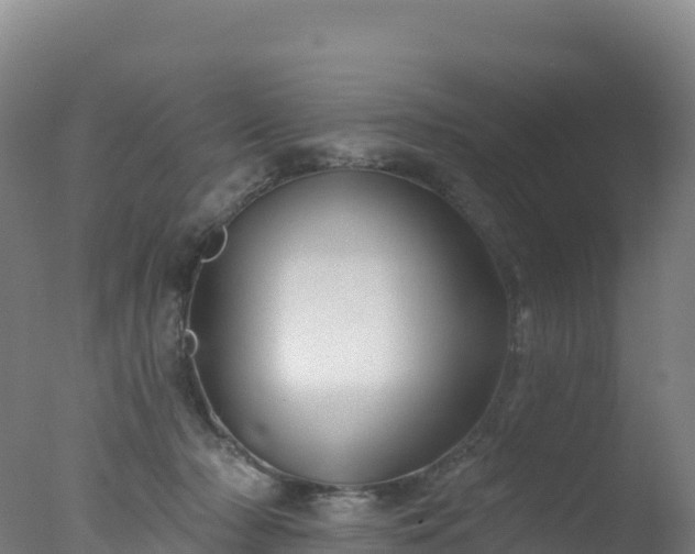 X0000077350318200610271835