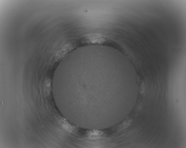 X0000077350321200610271835