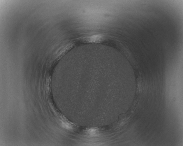 X0000077350325200610271835