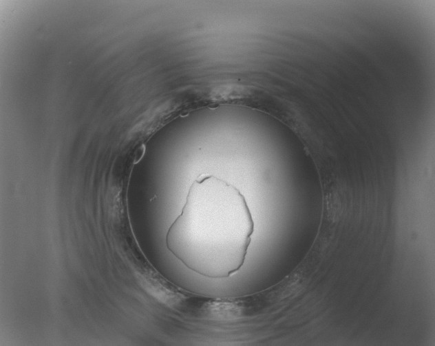 X0000077350327200610271835