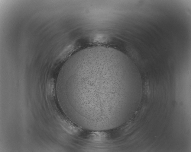 X0000077350328200610271835