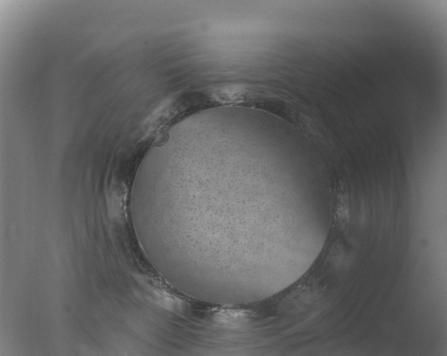 X0000077350332200610271835