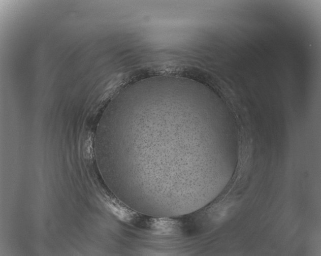 X0000077350336200610271835