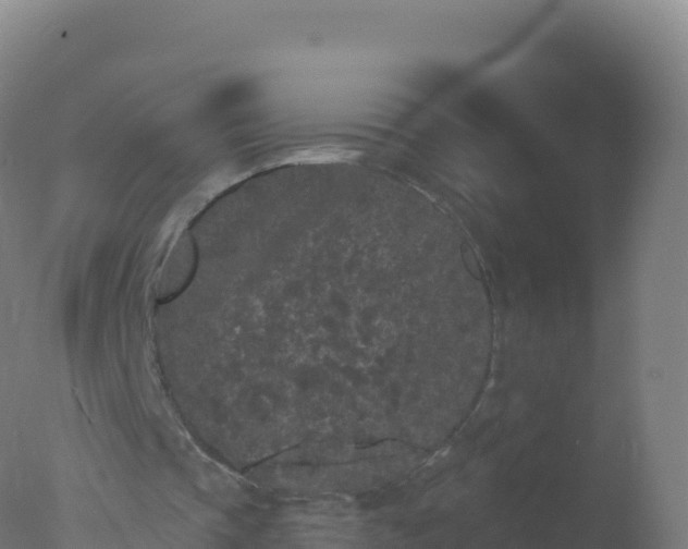 X0000077350337200610271834