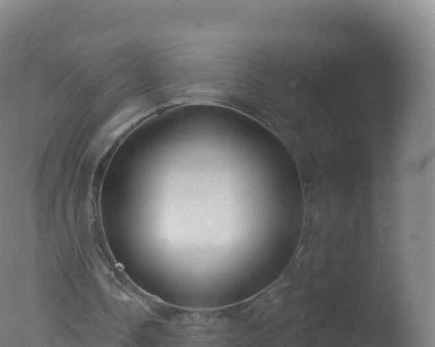 X0000077350338200610271834