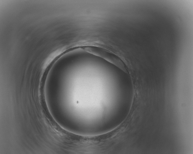 X0000077350340200610271834