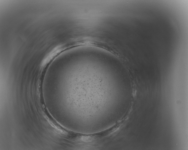 X0000077350341200610271834