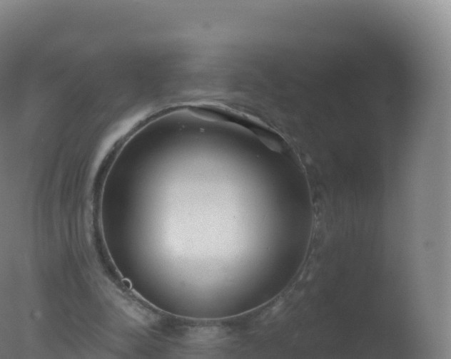 X0000077350342200610271834