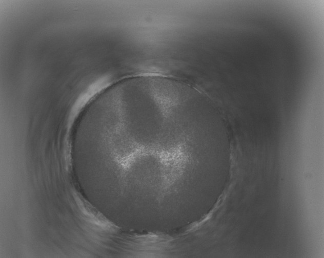 X0000077350343200610271834