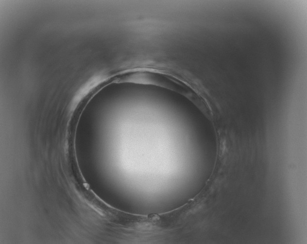 X0000077350344200610271834