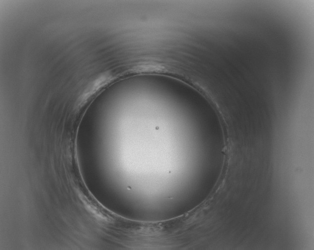 X0000077350345200610271834