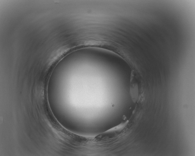 X0000077350348200610271834