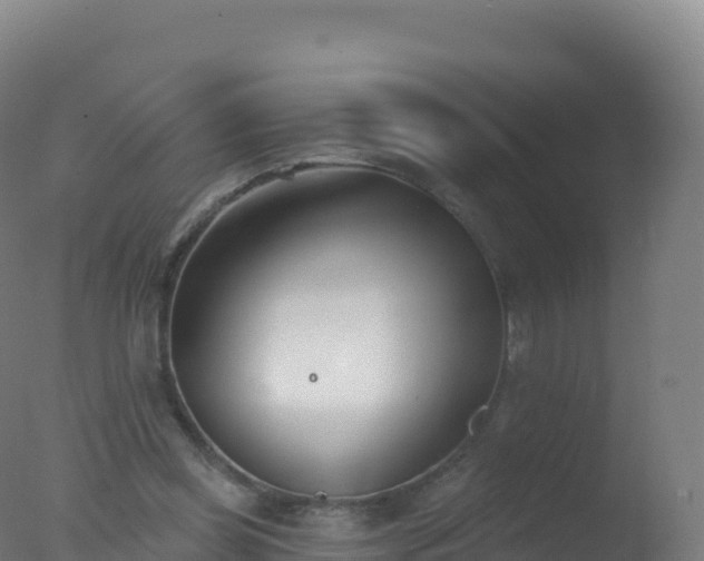 X0000077350349200610271834