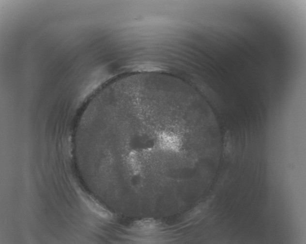 X0000077350351200610271834