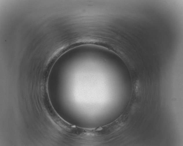 X0000077350352200610271834