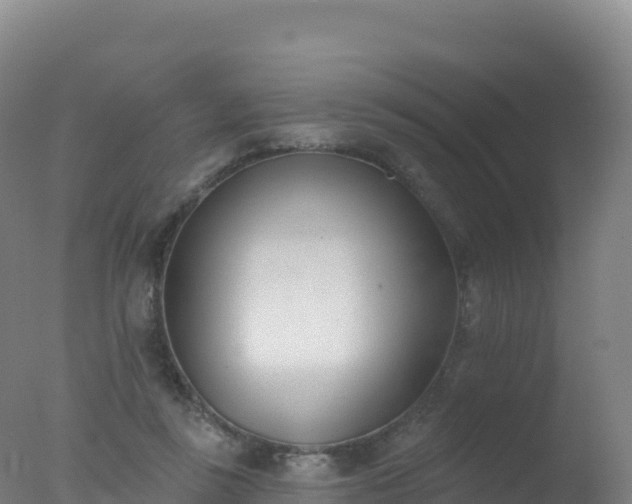 X0000077350355200610271834