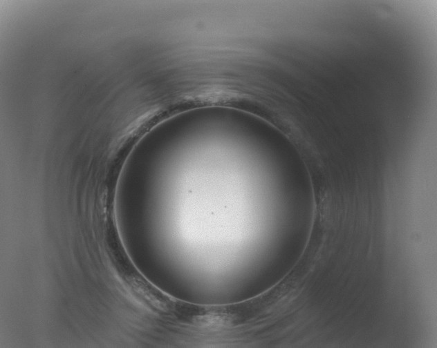 X0000077350356200610271834