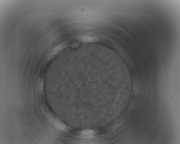 X0000077350357200610271834