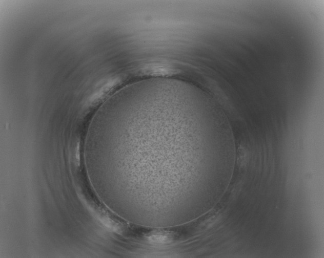 X0000077350358200610271834