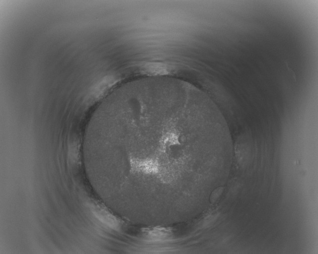 X0000077350359200610271834