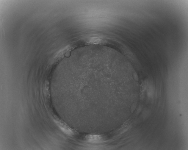 X0000077350361200610271834