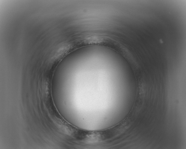 X0000077350362200610271834