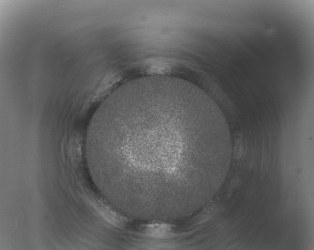 X0000077350363200610271834