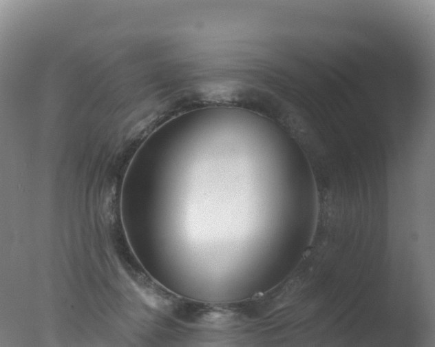 X0000077350364200610271834