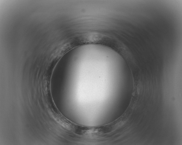 X0000077350366200610271834