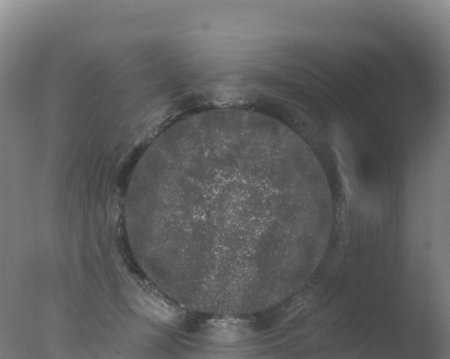 X0000077350367200610271834