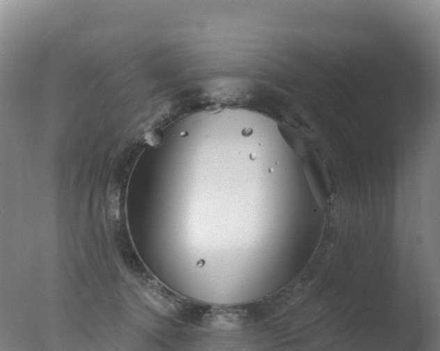 X0000077350368200610271834