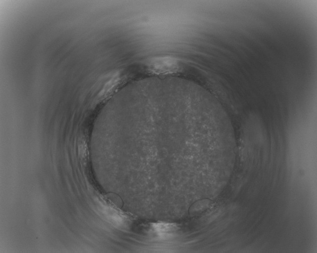 X0000077350371200610271834