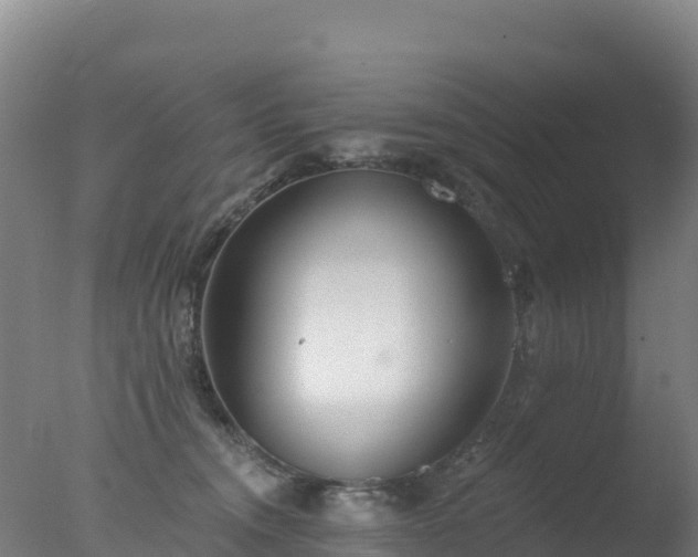 X0000077350372200610271834