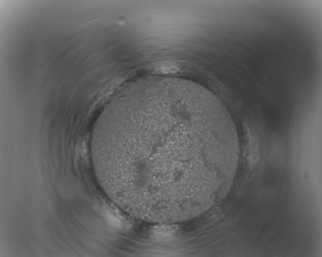 X0000077350373200610271834