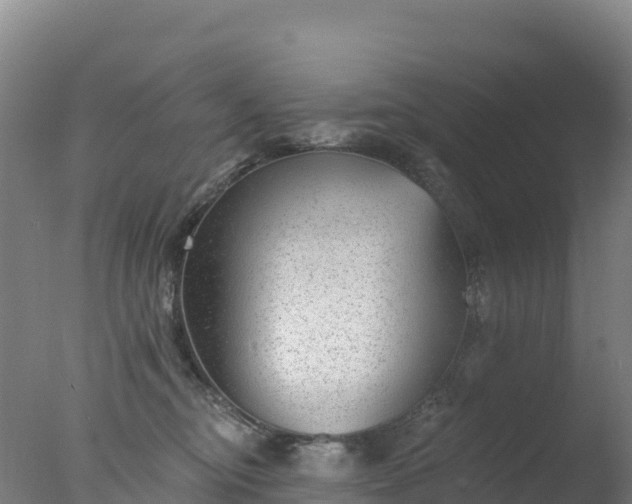 X0000077350374200610271834