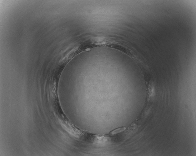 X0000077350376200610271834