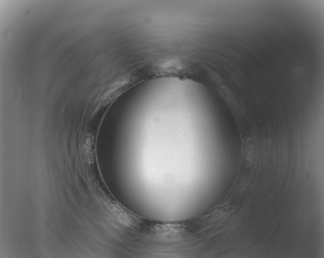 X0000077350378200610271834