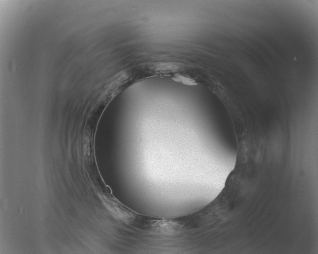 X0000077350379200610271834