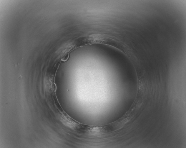 X0000077350382200610271834