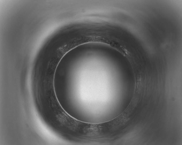 X0000077350383200610271835