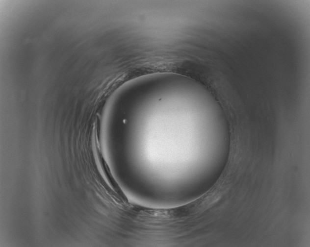 X0000077350384200610271835