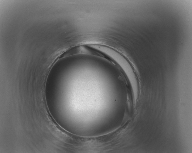 X0000077350385200610271834