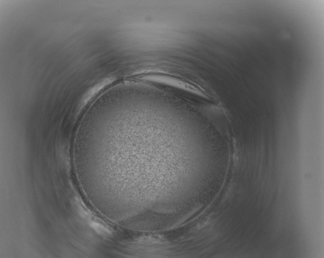 X0000077350386200610271834