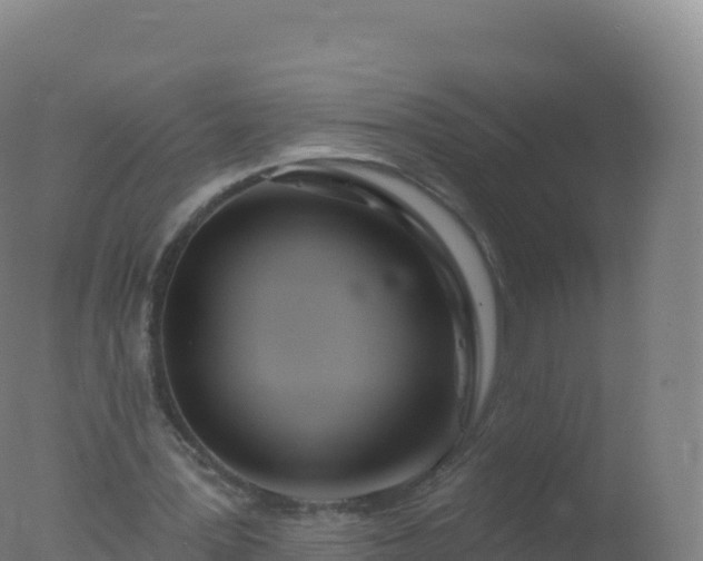 X0000077350387200610271834