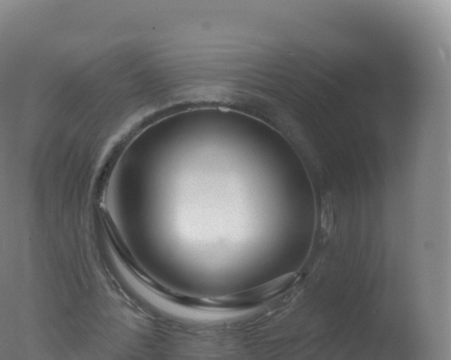 X0000077350388200610271834