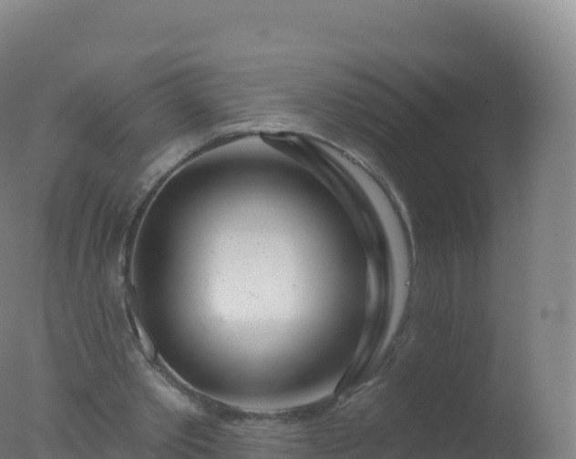 X0000077350389200610271834