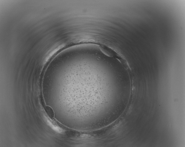 X0000077350390200610271834