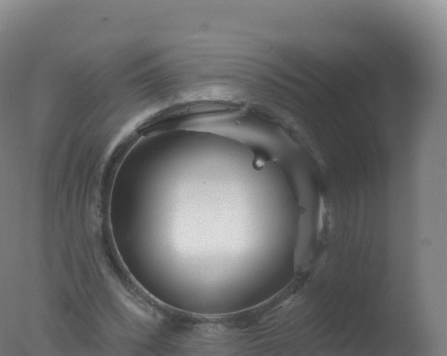 X0000077350392200610271834